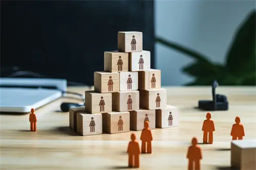 人才出海企业怎么申请